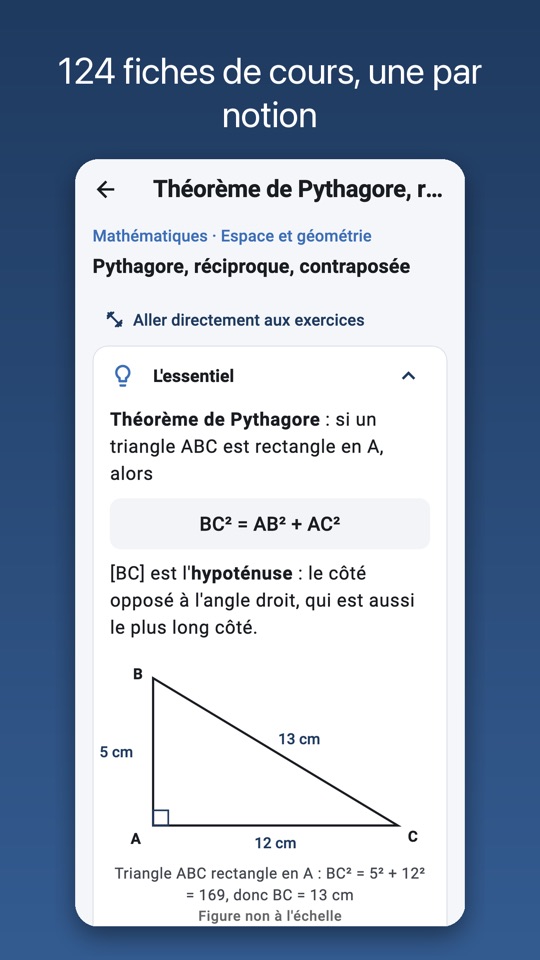 124 fiches de cours, une par notion